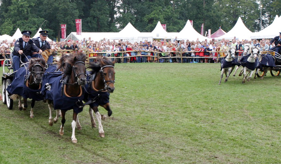 aart-van-de-kamp
