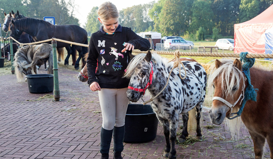 ponymarkt
