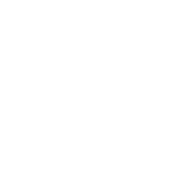 Ponymarkt Brakel